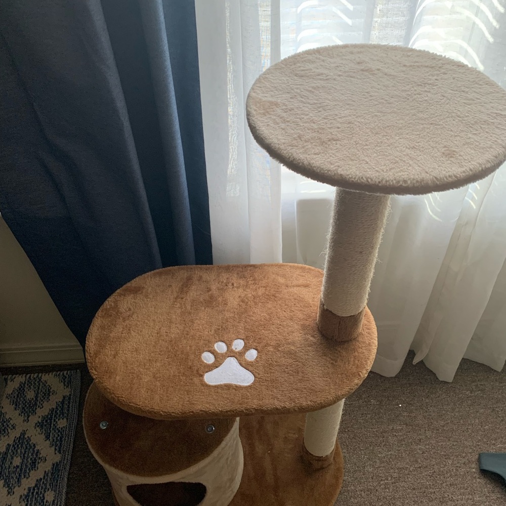 Cat Apartment
